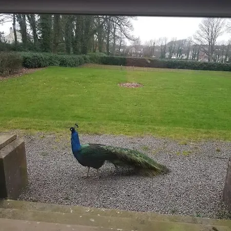 Eta's Manor @ Brooklands *