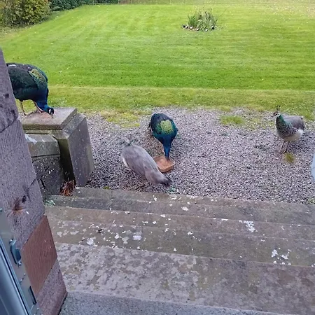 Eta's Manor @ Brooklands Apartment *